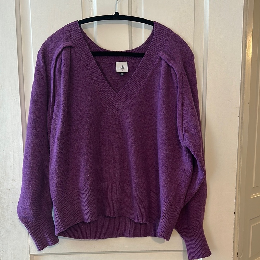 Purple V-Neck Women's Sweater